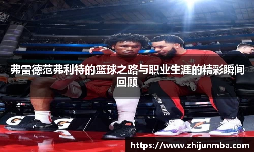 彩神VI首页