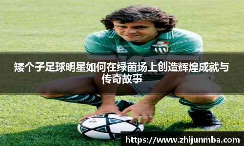 彩神VI首页