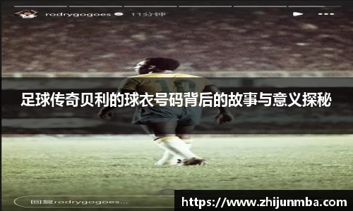 彩神VI首页官网