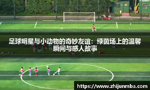 足球明星与小动物的奇妙友谊：绿茵场上的温馨瞬间与感人故事